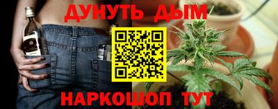 гидра Берёзовский