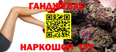 амф Бийск