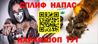 гидра Берёзовский