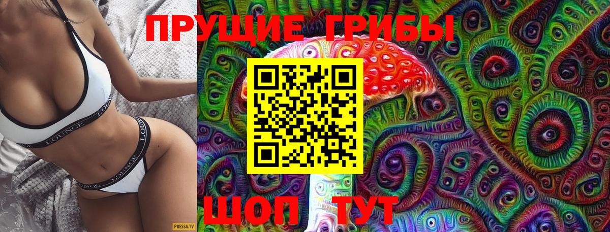 купить закладку  Галлюциногенные грибы Cubensis  Вход с VPN  Галлюциногенные грибы мухоморы  Кизилюрт 