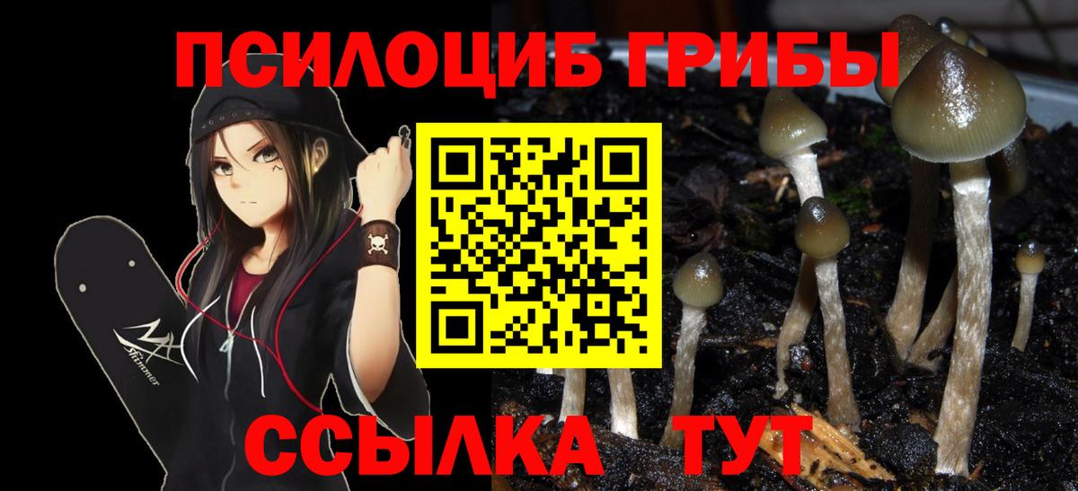Галлюциногенные грибы MAGIC MUSHROOMS Кизилюрт